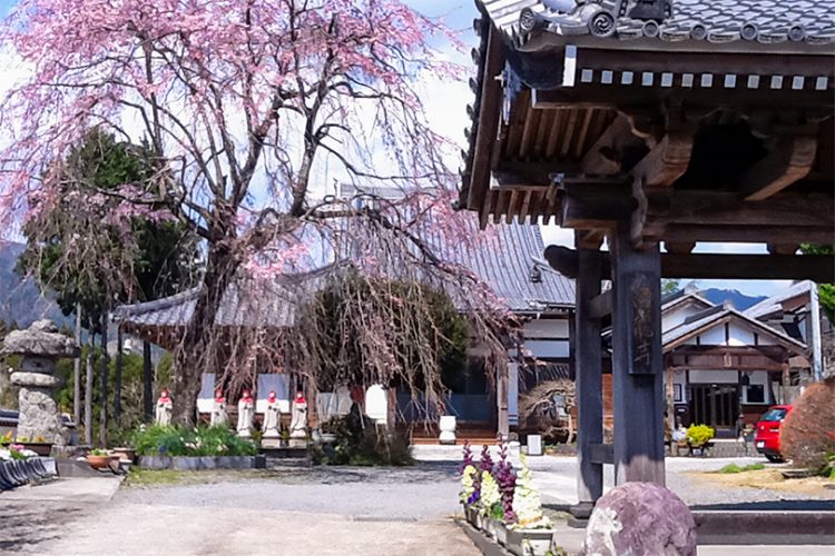 第19番 雲峰山 昌竜寺