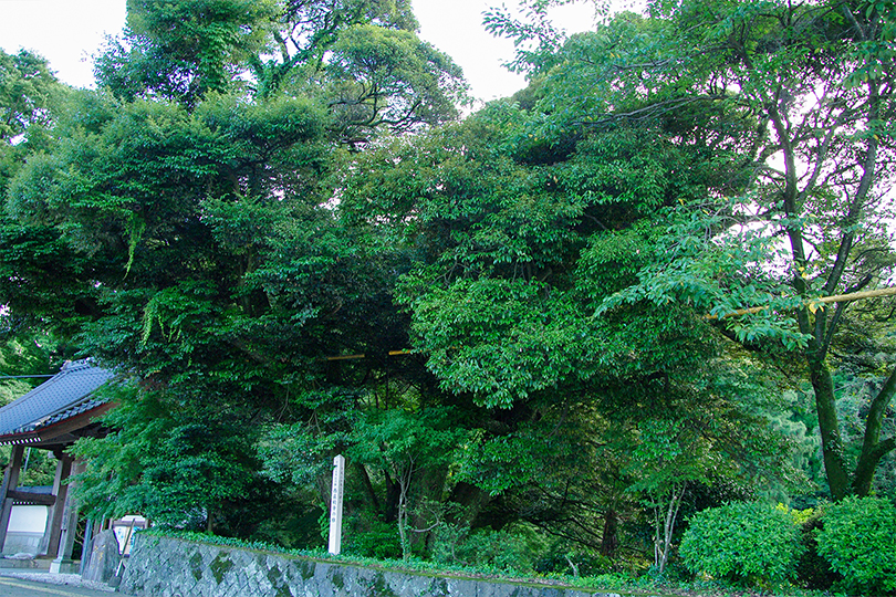 寺院・札所写真03