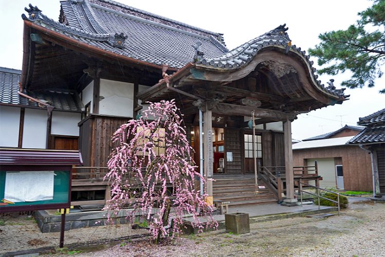 第44番 恵日山 宝琳院