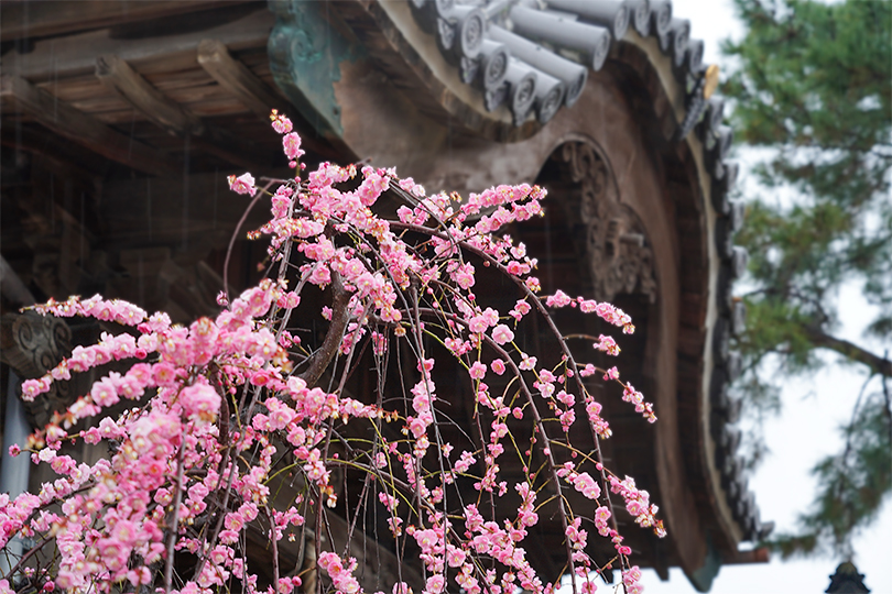 寺院・札所写真02