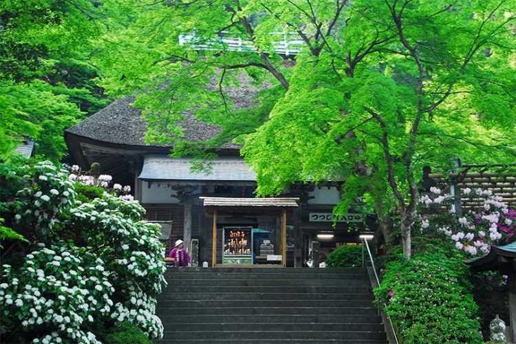 第49番 小松山 大興善寺