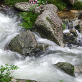 川の清流