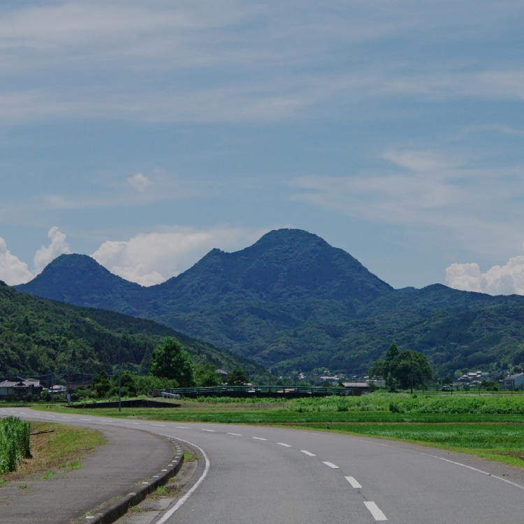 都道府県から探す