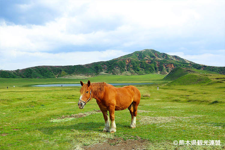 草千里