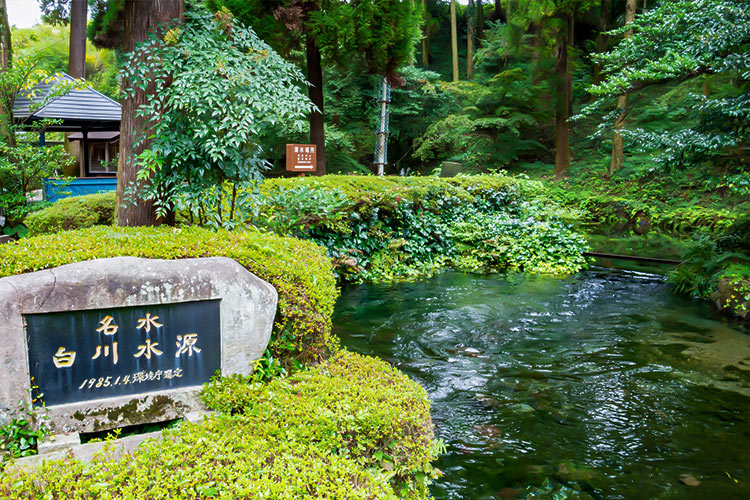 白川水源