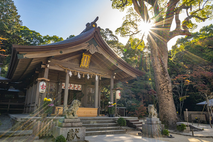 宝満宮竈門神社