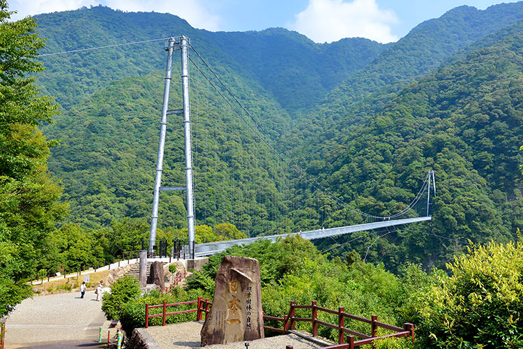 照葉大吊橋